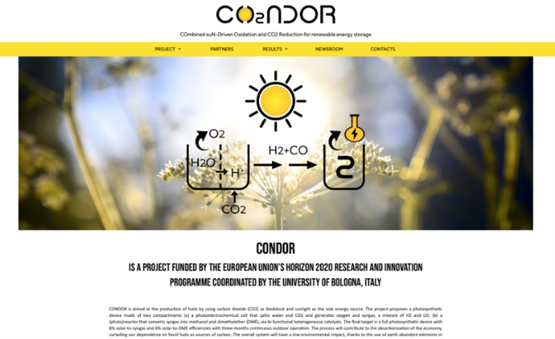 CONDOR website.png