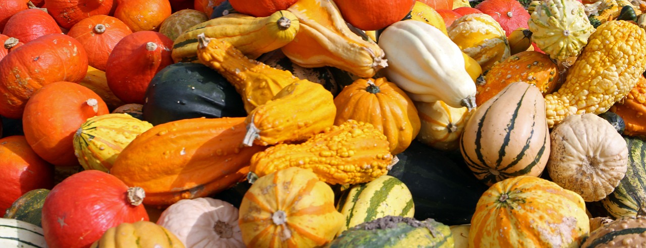 pumpkins-469614_1280.jpg